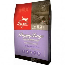 Puppy Large Breed