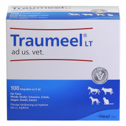 Traumeel - Heel - til dyr....
