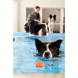 Book Hundesvømning
